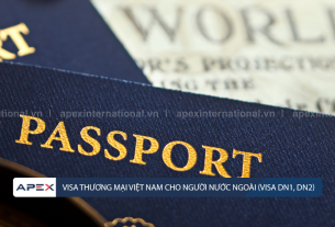 Visa thương mại Việt Nam cho người nước ngoài (visa DN1, DN2)